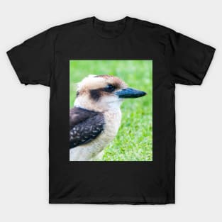 Laughing Kookaburra T-Shirt